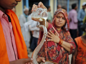 महिलाएँ पारंपरिक नागपंचमी 2025  पूजा करते हुए, फूल, दूब और दूध से सर्प देवता की पूजा करती हुईं